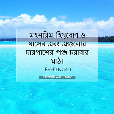 Picture 07 - 1 বংশাৱলি 6:81 BENIRV - মহনয়িম, হিষ্‌বোণ - Bible Verse Picture