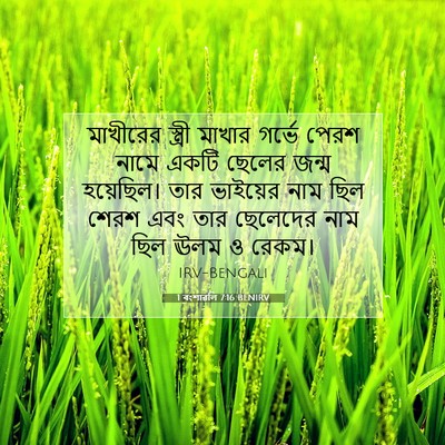Picture 07 - 1 বংশাৱলি 7:16 BENIRV - মাখীরের স্ত্রী - Bible Verse Picture