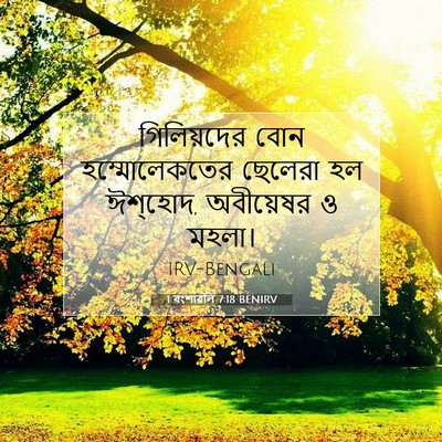 Picture 07 - 1 বংশাৱলি 7:18 BENIRV - গিলিয়দের বোন - Bible Verse Picture