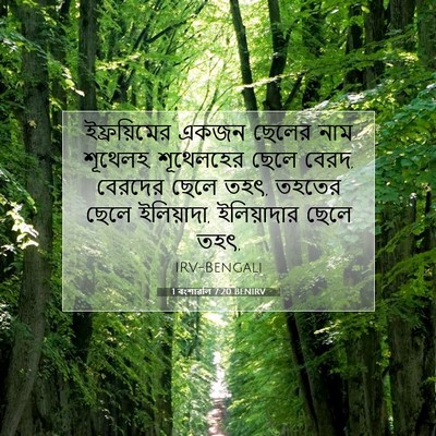 Picture 07 - 1 বংশাৱলি 7:20 BENIRV - ইফ্রয়িমের একজন - Bible Verse Picture