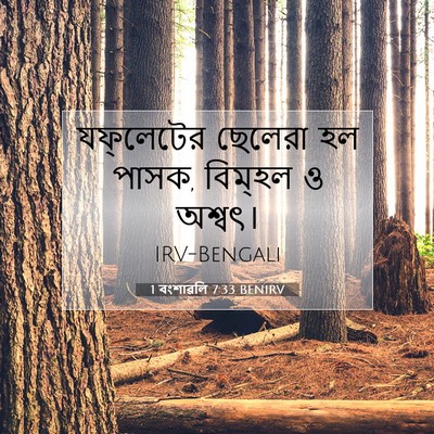 Picture 07 - 1 বংশাৱলি 7:33 BENIRV - যফ্‌লেটের ছেলেরা - Bible Verse Picture