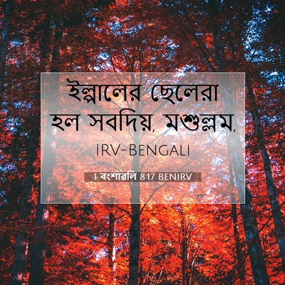 Picture 07 - 1 বংশাৱলি 8:17 BENIRV - ইল্পালের ছেলেরা - Bible Verse Picture