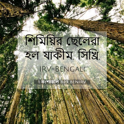 Picture 07 - 1 বংশাৱলি 8:19 BENIRV - শিমিয়ির ছেলেরা - Bible Verse Picture