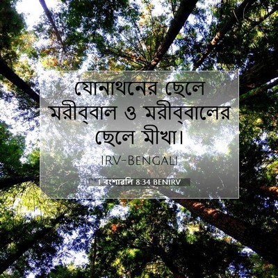 Picture 07 - 1 বংশাৱলি 8:34 BENIRV - যোনাথনের ছেলে - Bible Verse Picture