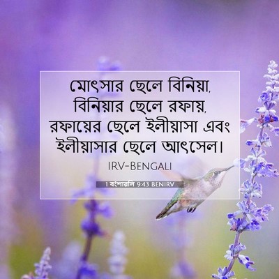 Picture 07 - 1 বংশাৱলি 9:43 BENIRV - মোৎসার ছেলে - Bible Verse Picture