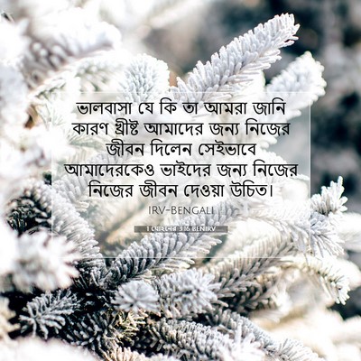 Picture 07 - 1 যোহনের 3:16 BENIRV - ভালবাসা যে কি তা - Bible Verse Picture