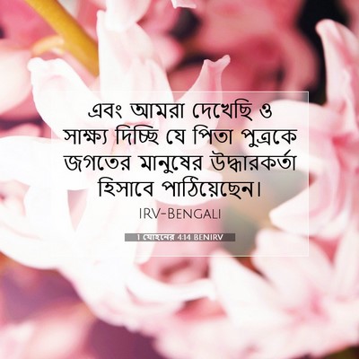 Picture 07 - 1 যোহনের 4:14 BENIRV - এবং আমরা দেখেছি ও - Bible Verse Picture