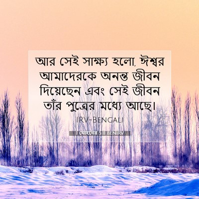 Picture 07 - 1 যোহনের 5:11 BENIRV - আর সেই সাক্ষ্য হলো, - Bible Verse Picture