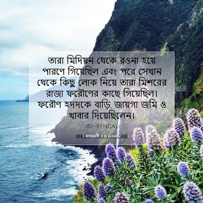 Picture 07 - 1 ৰাজাৱলী 11:18 BENIRV - তারা মিদিয়ন থেকে - Bible Verse Picture