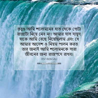 Picture 07 - 1 ৰাজাৱলী 11:34 BENIRV - তবুও আমি শলোমনের - Bible Verse Picture