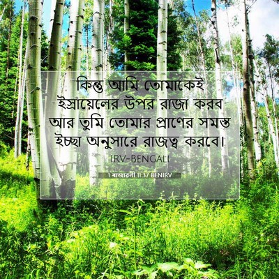 Picture 07 - 1 ৰাজাৱলী 11:37 BENIRV - কিন্তু আমি - Bible Verse Picture