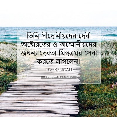 Picture 07 - 1 ৰাজাৱলী 11:5 BENIRV - তিনি সীদোনীয়দের - Bible Verse Picture