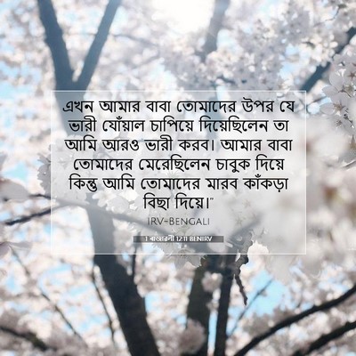 Picture 07 - 1 ৰাজাৱলী 12:11 BENIRV - এখন আমার বাবা - Bible Verse Picture