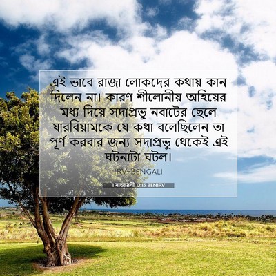 Picture 07 - 1 ৰাজাৱলী 12:15 BENIRV - এই ভাবে রাজা - Bible Verse Picture