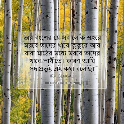 Picture 07 - 1 ৰাজাৱলী 14:11 BENIRV - তার বংশের যে সব লোক - Bible Verse Picture