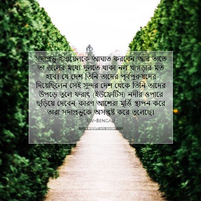 Picture 07 - 1 ৰাজাৱলী 14:15 BENIRV - সদাপ্রভু - Bible Verse Picture