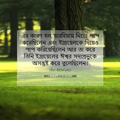 Picture 07 - 1 ৰাজাৱলী 15:30 BENIRV - এর কারণ হল, - Bible Verse Picture