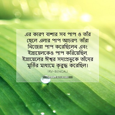 Picture 07 - 1 ৰাজাৱলী 16:13 BENIRV - এর কারণ বাশার সব - Bible Verse Picture