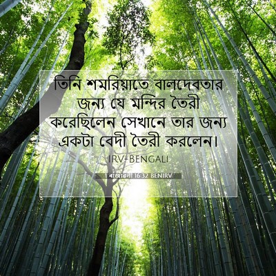 Picture 07 - 1 ৰাজাৱলী 16:32 BENIRV - তিনি শমরিয়াতে - Bible Verse Picture