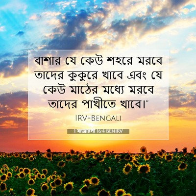 Picture 07 - 1 ৰাজাৱলী 16:4 BENIRV - বাশার যে কেউ শহরে - Bible Verse Picture