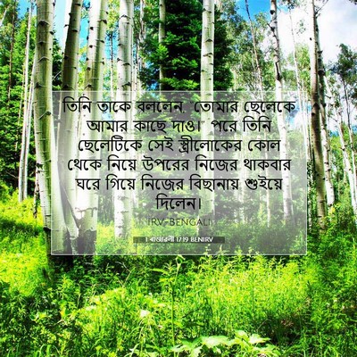 Picture 07 - 1 ৰাজাৱলী 17:19 BENIRV - তিনি তাকে বললেন, - Bible Verse Picture