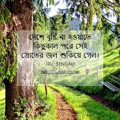 Picture 07 - 1 ৰাজাৱলী 17:7 BENIRV - দেশে বৃষ্টি না - Bible Verse Picture
