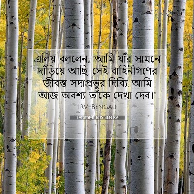 Picture 07 - 1 ৰাজাৱলী 18:15 BENIRV - এলিয় বললেন, “আমি - Bible Verse Picture