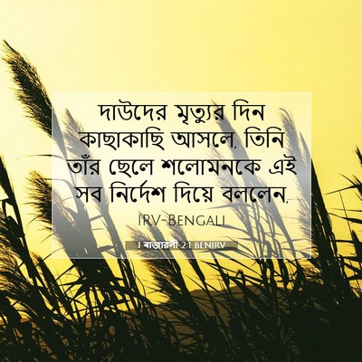 Picture 07 - 1 ৰাজাৱলী 2:1 BENIRV - দাউদের মৃত্যুর - Bible Verse Picture