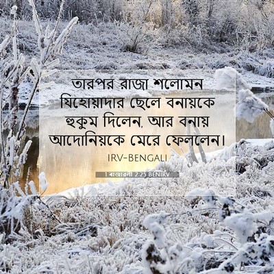 Picture 07 - 1 ৰাজাৱলী 2:25 BENIRV - তারপর রাজা শলোমন - Bible Verse Picture