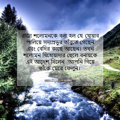 Picture 07 - 1 ৰাজাৱলী 2:29 BENIRV - রাজা শলোমনকে বলা - Bible Verse Picture