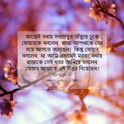 Picture 07 - 1 ৰাজাৱলী 2:30 BENIRV - কাজেই বনায় - Bible Verse Picture