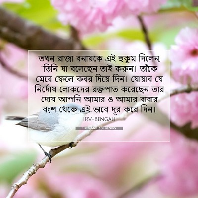 Picture 07 - 1 ৰাজাৱলী 2:31 BENIRV - তখন রাজা বনায়কে - Bible Verse Picture