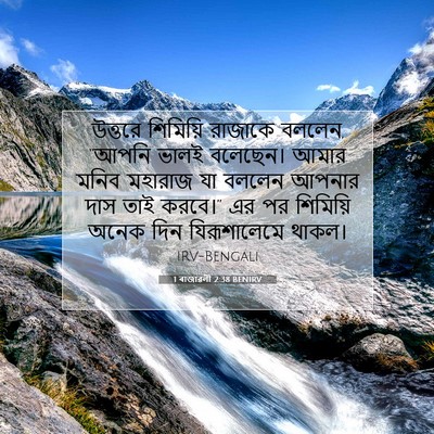 Picture 07 - 1 ৰাজাৱলী 2:38 BENIRV - উত্তরে শিমিয়ি - Bible Verse Picture