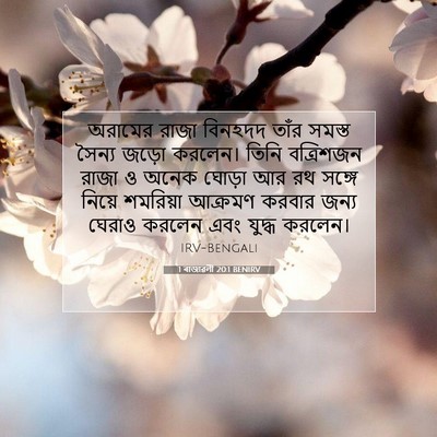 Picture 07 - 1 ৰাজাৱলী 20:1 BENIRV - অরামের রাজা - Bible Verse Picture