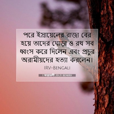 Picture 07 - 1 ৰাজাৱলী 20:21 BENIRV - পরে ইস্রায়েলের - Bible Verse Picture
