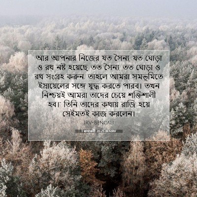 Picture 07 - 1 ৰাজাৱলী 20:25 BENIRV - আর আপনার নিজের যত - Bible Verse Picture