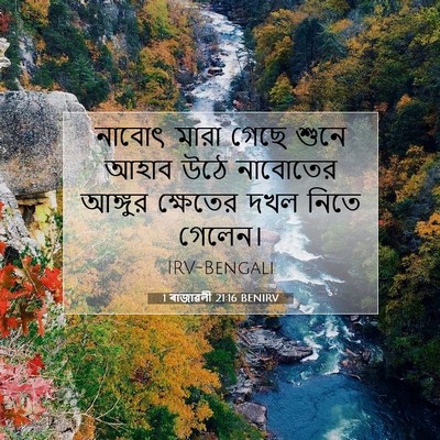 Picture 07 - 1 ৰাজাৱলী 21:16 BENIRV - নাবোৎ মারা গেছে - Bible Verse Picture