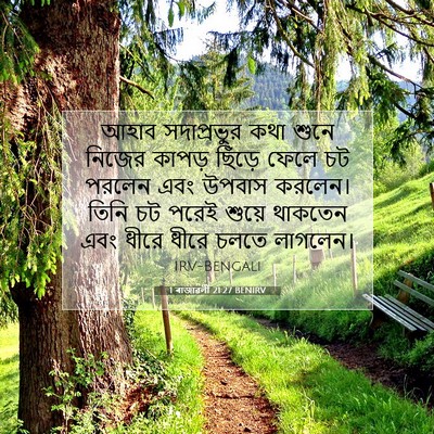 Picture 07 - 1 ৰাজাৱলী 21:27 BENIRV - আহাব সদাপ্রভুর - Bible Verse Picture