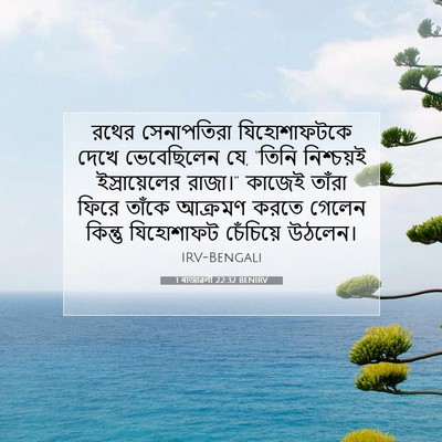 Picture 07 - 1 ৰাজাৱলী 22:32 BENIRV - রথের সেনাপতিরা - Bible Verse Picture