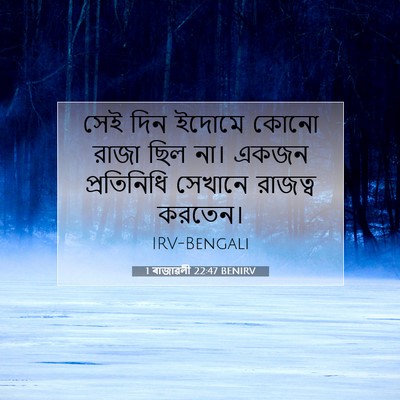 Picture 07 - 1 ৰাজাৱলী 22:47 BENIRV - সেই দিন ইদোমে কোনো - Bible Verse Picture