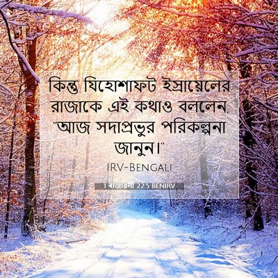 Picture 07 - 1 ৰাজাৱলী 22:5 BENIRV - কিন্তু যিহোশাফট - Bible Verse Picture