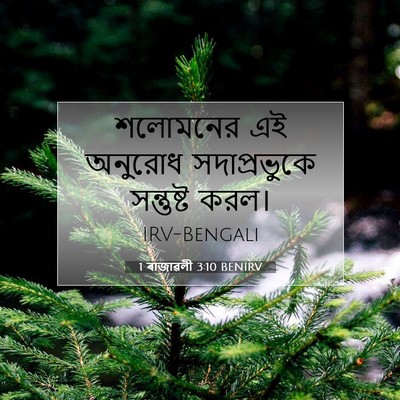 Picture 07 - 1 ৰাজাৱলী 3:10 BENIRV - শলোমনের এই অনুরোধ - Bible Verse Picture