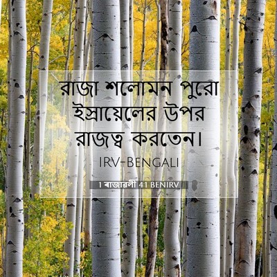 Picture 07 - 1 ৰাজাৱলী 4:1 BENIRV - রাজা শলোমন পুরো - Bible Verse Picture