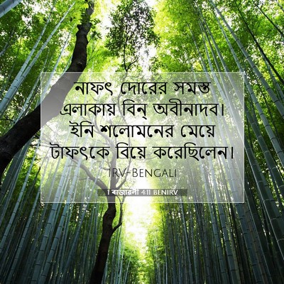Picture 07 - 1 ৰাজাৱলী 4:11 BENIRV - নাফৎ দোরের সমস্ত - Bible Verse Picture