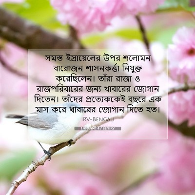 Picture 07 - 1 ৰাজাৱলী 4:7 BENIRV - সমস্ত ইস্রায়েলের - Bible Verse Picture
