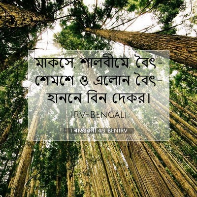Picture 07 - 1 ৰাজাৱলী 4:9 BENIRV - মাকসে, শালবীমে, - Bible Verse Picture