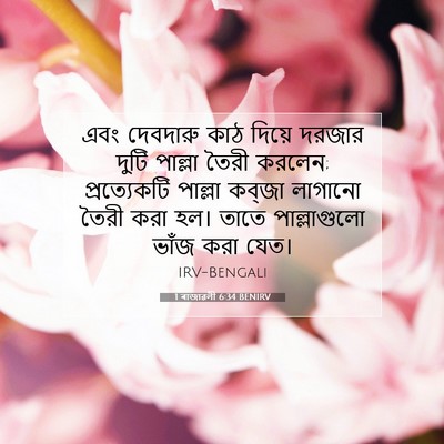 Picture 07 - 1 ৰাজাৱলী 6:34 BENIRV - এবং দেবদারু কাঠ - Bible Verse Picture