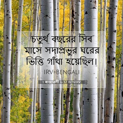 Picture 07 - 1 ৰাজাৱলী 6:37 BENIRV - চতুর্থ বছরের সিব - Bible Verse Picture