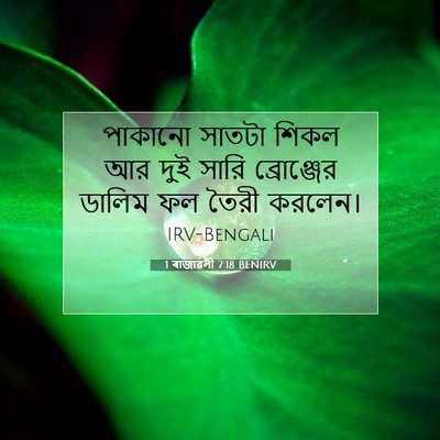 Picture 07 - 1 ৰাজাৱলী 7:18 BENIRV - পাকানো সাতটা শিকল - Bible Verse Picture