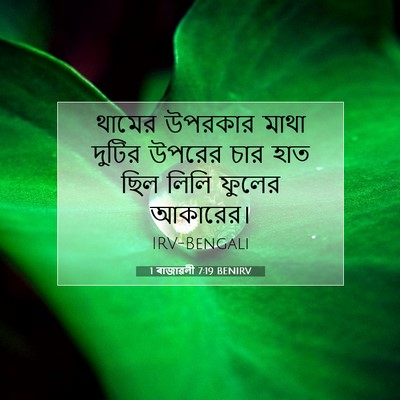 Picture 07 - 1 ৰাজাৱলী 7:19 BENIRV - থামের উপরকার মাথা - Bible Verse Picture
